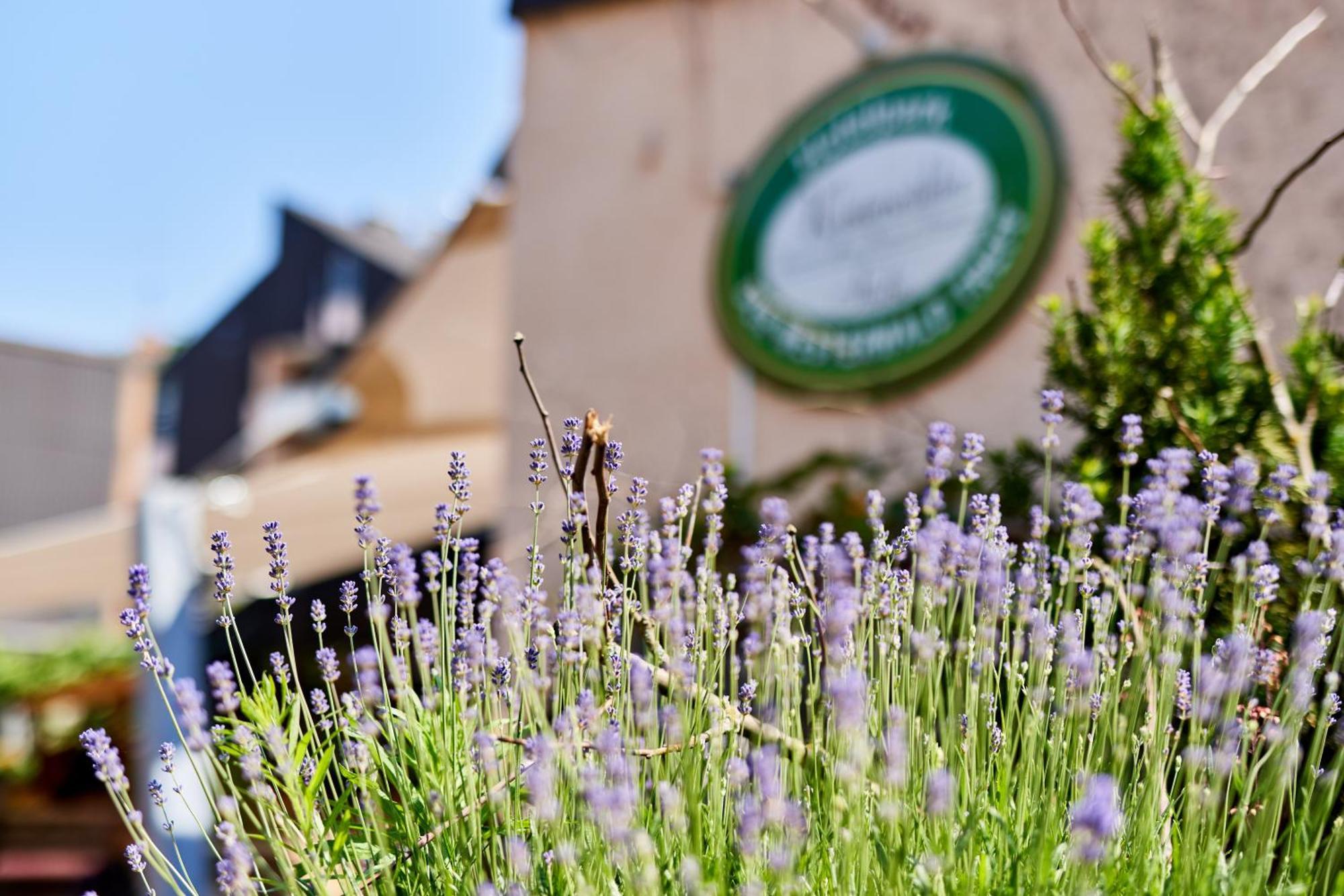 Hotelpark Der Westerwald Treff 오베르라 외부 사진